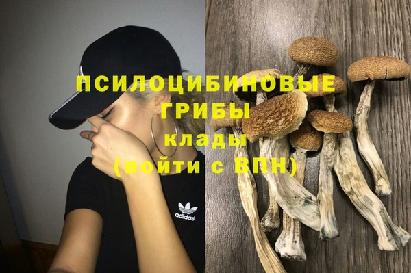 мет Кинешма