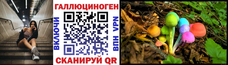 Псилоцибиновые грибы прущие грибы  Купить  Малоархангельск 